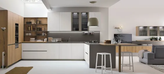 Cucine Moderne